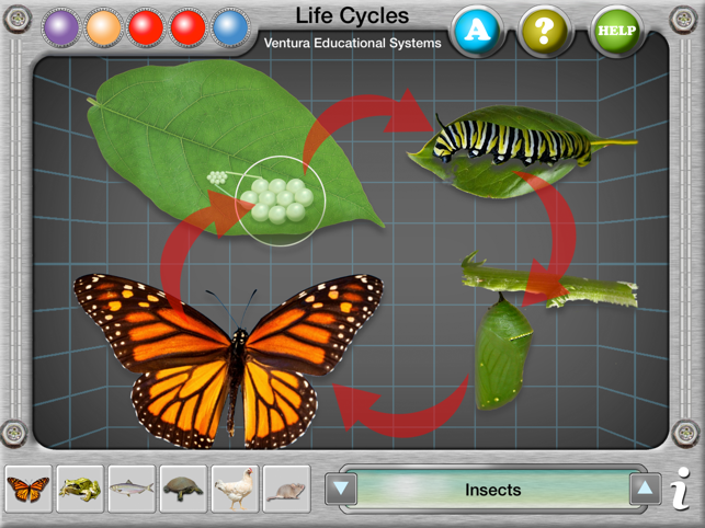 Interactive Life Cycles(圖1)-速報App