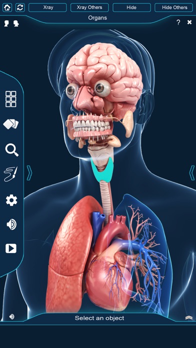 Organs Anatomy screenshot 4