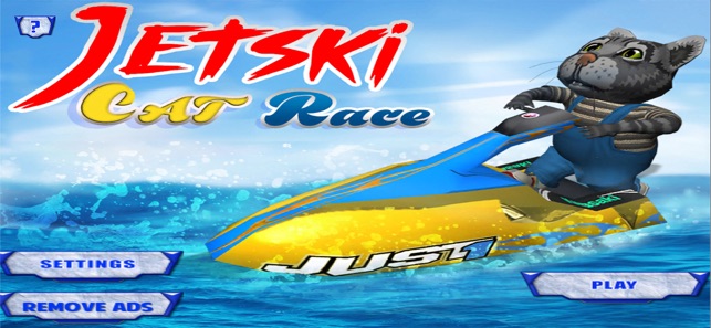 Jet Ski Cat Race