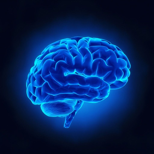 memorize.ai