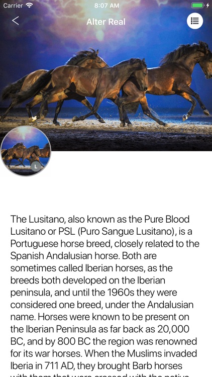Horses 2.0 screenshot-5