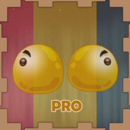 Mirror World Adventure Pro icon