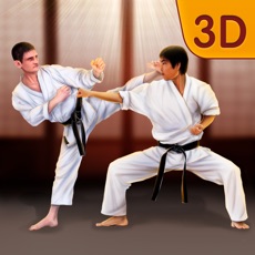 Activities of Shotokan Karate Ninja Fighting