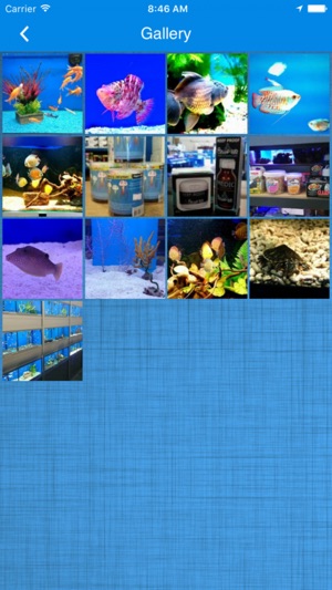 River And Reef Aquatics(圖3)-速報App