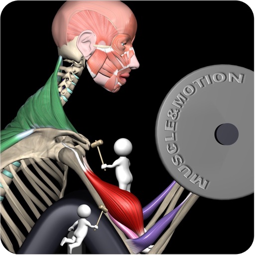 Muscle and Motion Strength Training