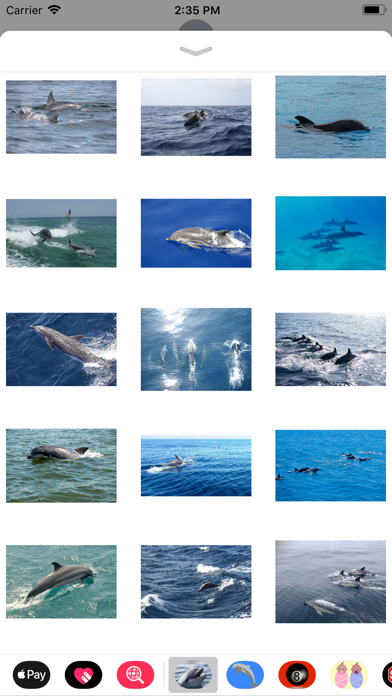 Wild Dolphin Sticker Pack screenshot 3