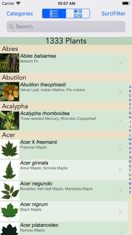 Minnesota Wildflowers Info.