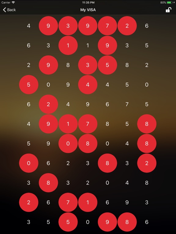 PIN Master iPad PIN Master iPad