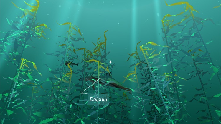 PI VR Oceans screenshot-4