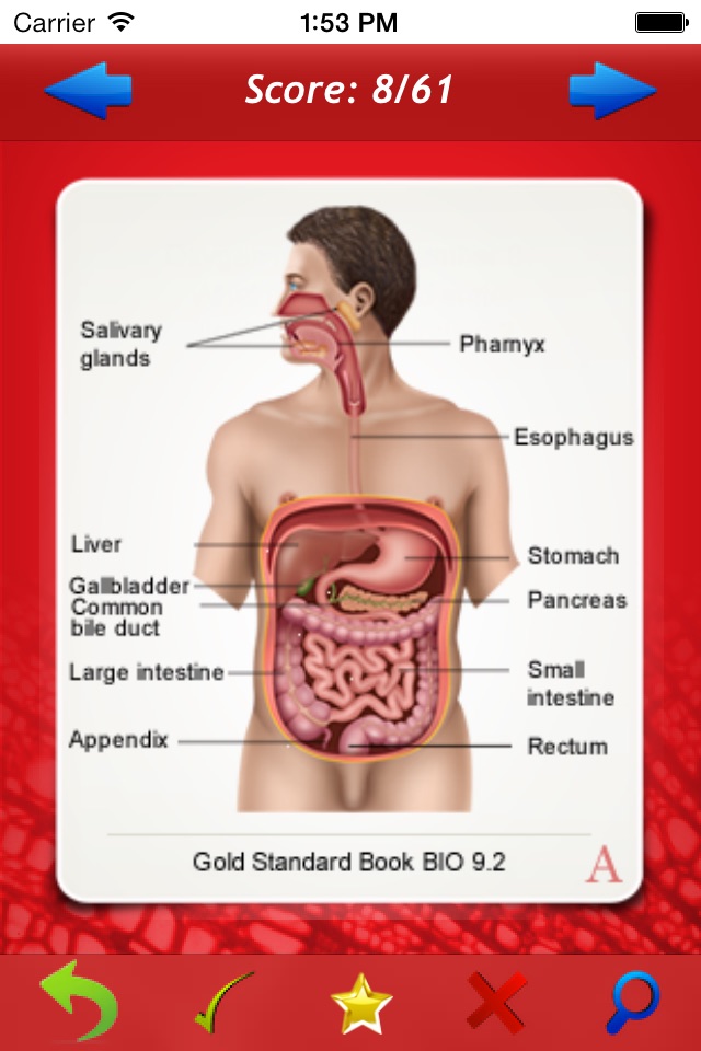 GS GAMSAT Biology flashcards screenshot 3