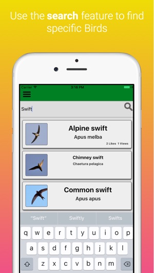 UK Birds Dictionary Pro(圖4)-速報App