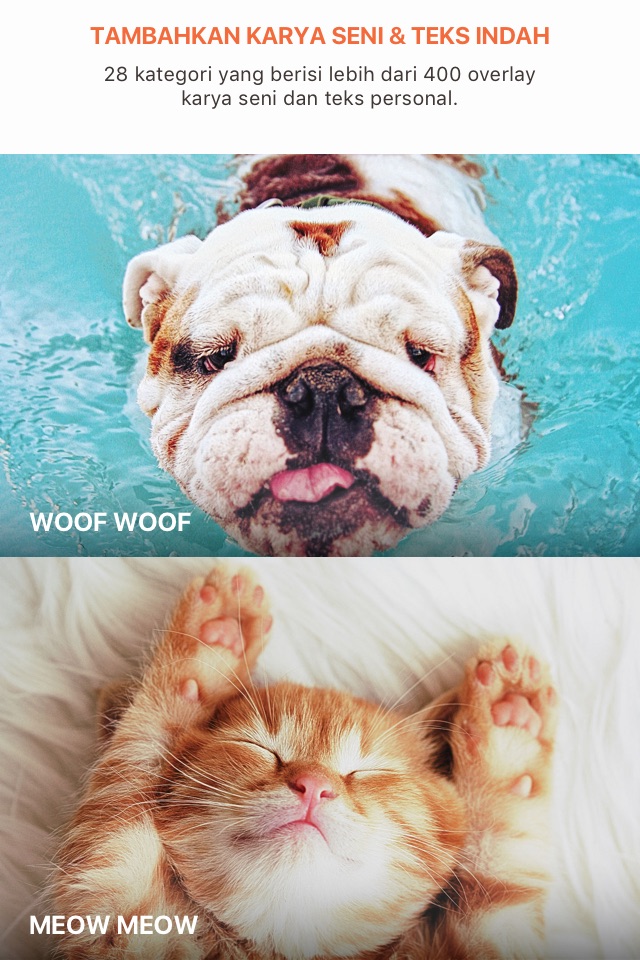 Pet Pics - Pet Photo Editor screenshot 2