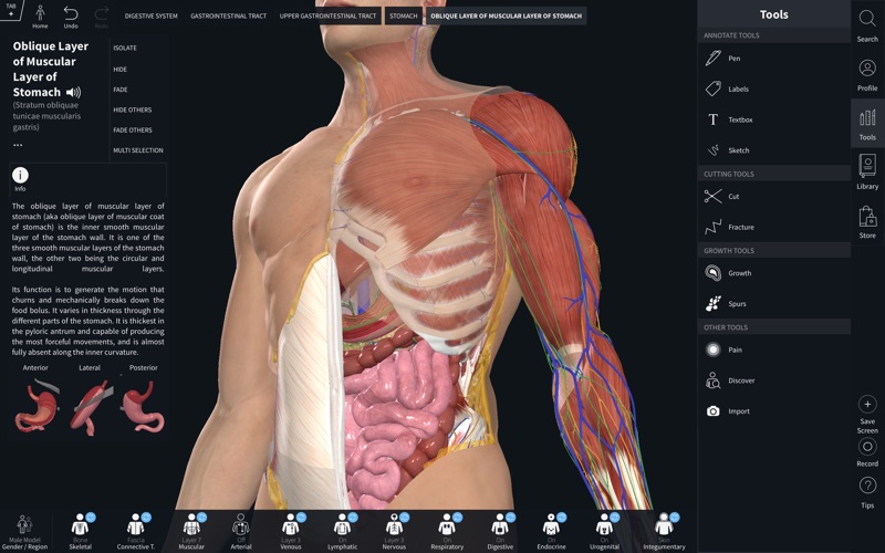 Complete_Anatomy_2019.app caprure 1 1_Complete_Anatomy_2019.jpg