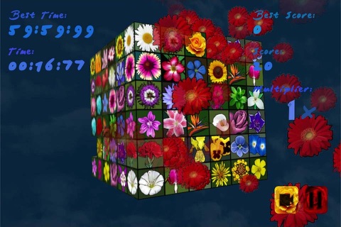 Floristry screenshot 2