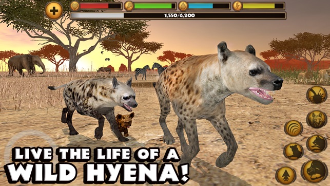 Hyena Simulator(圖1)-速報App