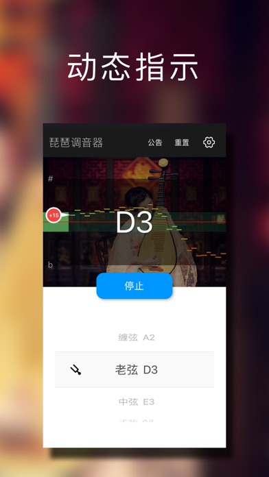 琵琶调音大师 - 快捷专业调音器 screenshot 2