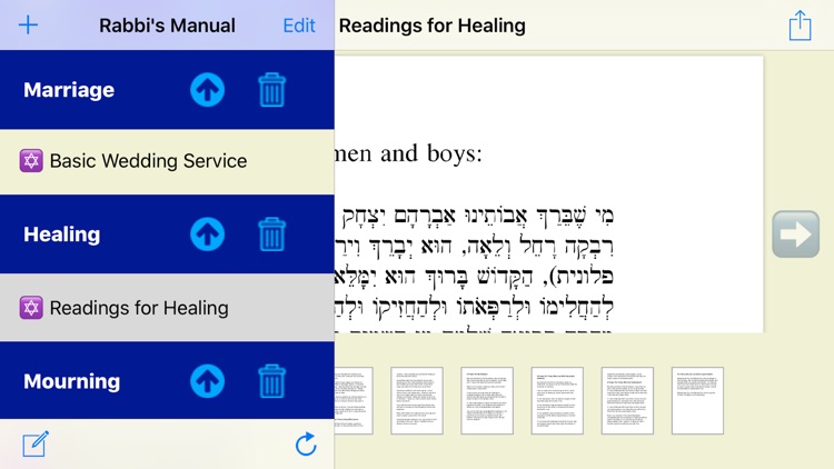 Rabbi's Manual