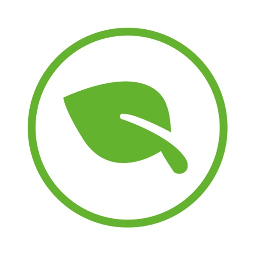 EcoDrive icon