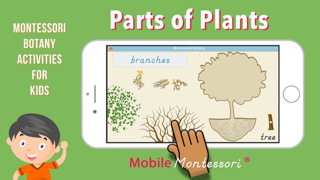 Learn Botany - Parts of Plants(圖1)-速報App