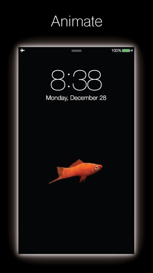 Live Fish - Live Wallpapers for Fish with Black BG(圖4)-速報App