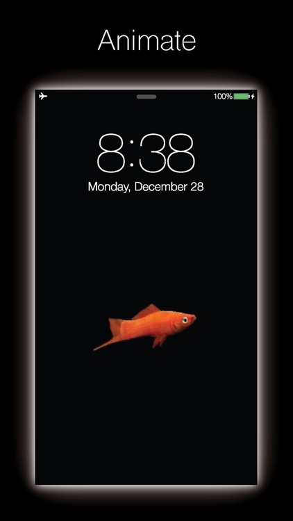 Live Fish - Live Wallpapers for Fish with Black BG screenshot-3