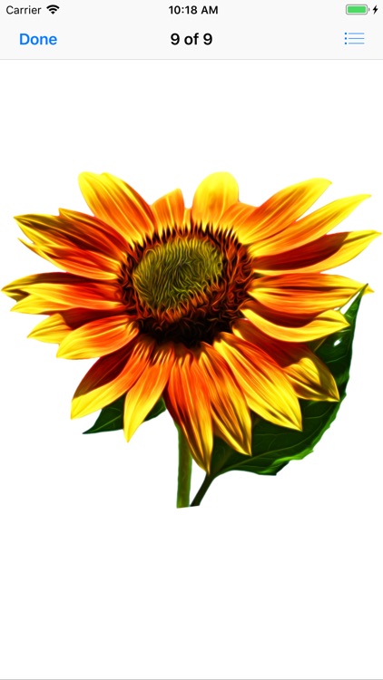 Sunflower Stickers screenshot-9