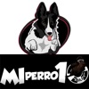 MiPerro10 App