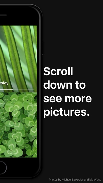Background – beautiful photos