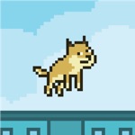 Flappy Doge 1