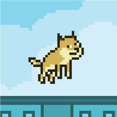 Activities of Flappy Doge #1