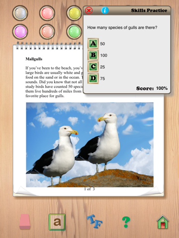 Reading Skills 3B - náhled