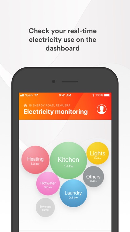 Genesis Electricity Monitoring