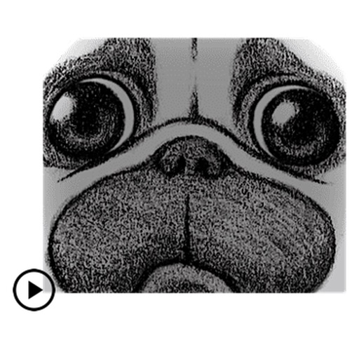 Animated Cute Pug Dog Stickers