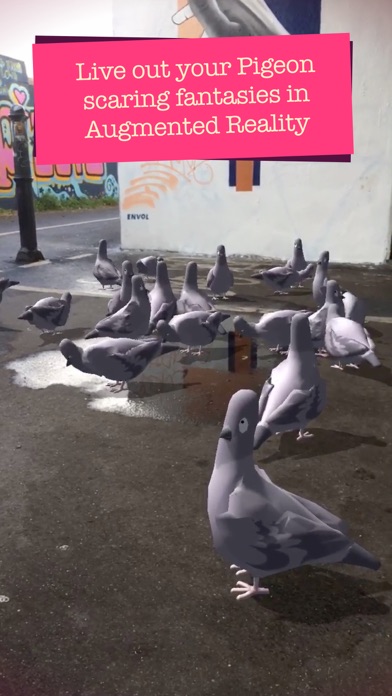 Pigeon Panic! AR screenshot 2