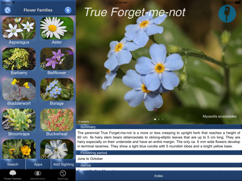 Wildflower Id USA Photo Recognition Guide NE - náhled