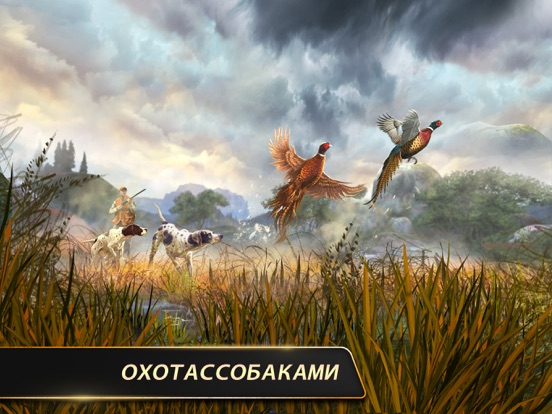 Игра Deer Hunter Classic