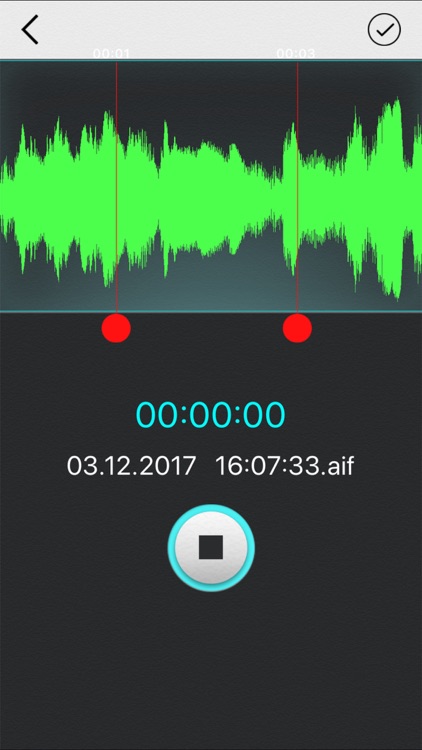 Audio Editor screenshot-4