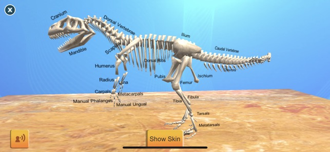 Dinosaur Sim On The App Store - 