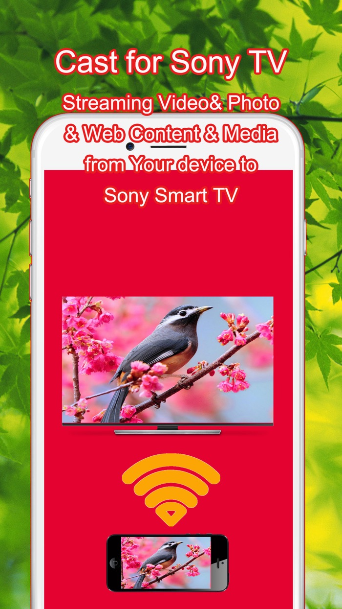 Cast Video  Photo to TV