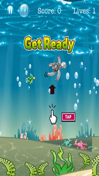 Flappy Turtle - Ocean Jump!