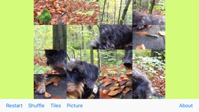 PhotoPuzzling screenshot 2