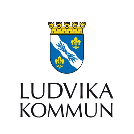 Felanmälan Ludvika kommun icon