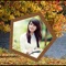 The features of "Autumn Beauty Photo Frames":