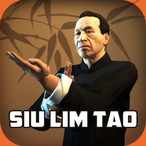 Ip Man Wing Chun Kung Fu : SLT Icon