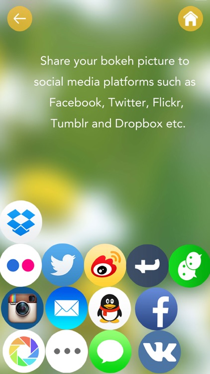 Speckle - Lens bokeh screenshot-4