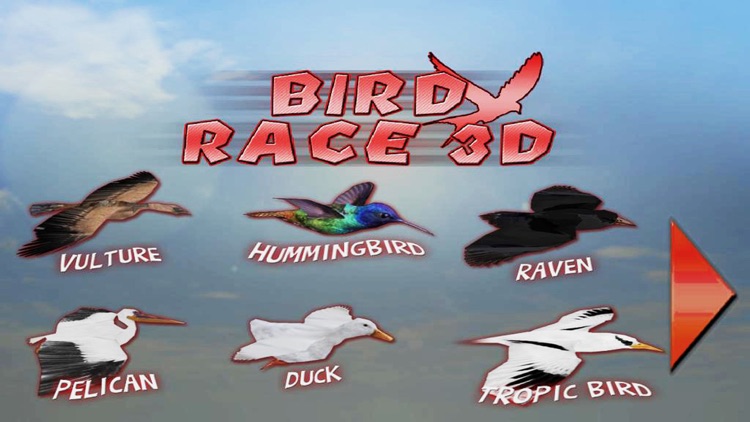 Bird Race 3D screenshot-4