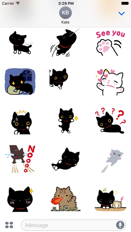 Luna the black cat