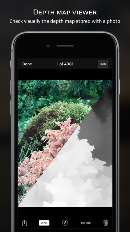 Chromatica camera screenshot-7