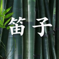 笛子基础入门 - 多维度资料经典基础视频教程