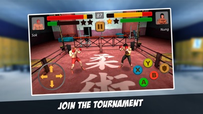 Ninja Boxer Punch Fighting 3D screenshot 2